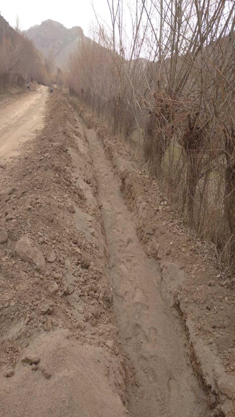 WhatsApp-Image-2024-09-08-at-00.46.07-1[1]-fotor-2026031119617