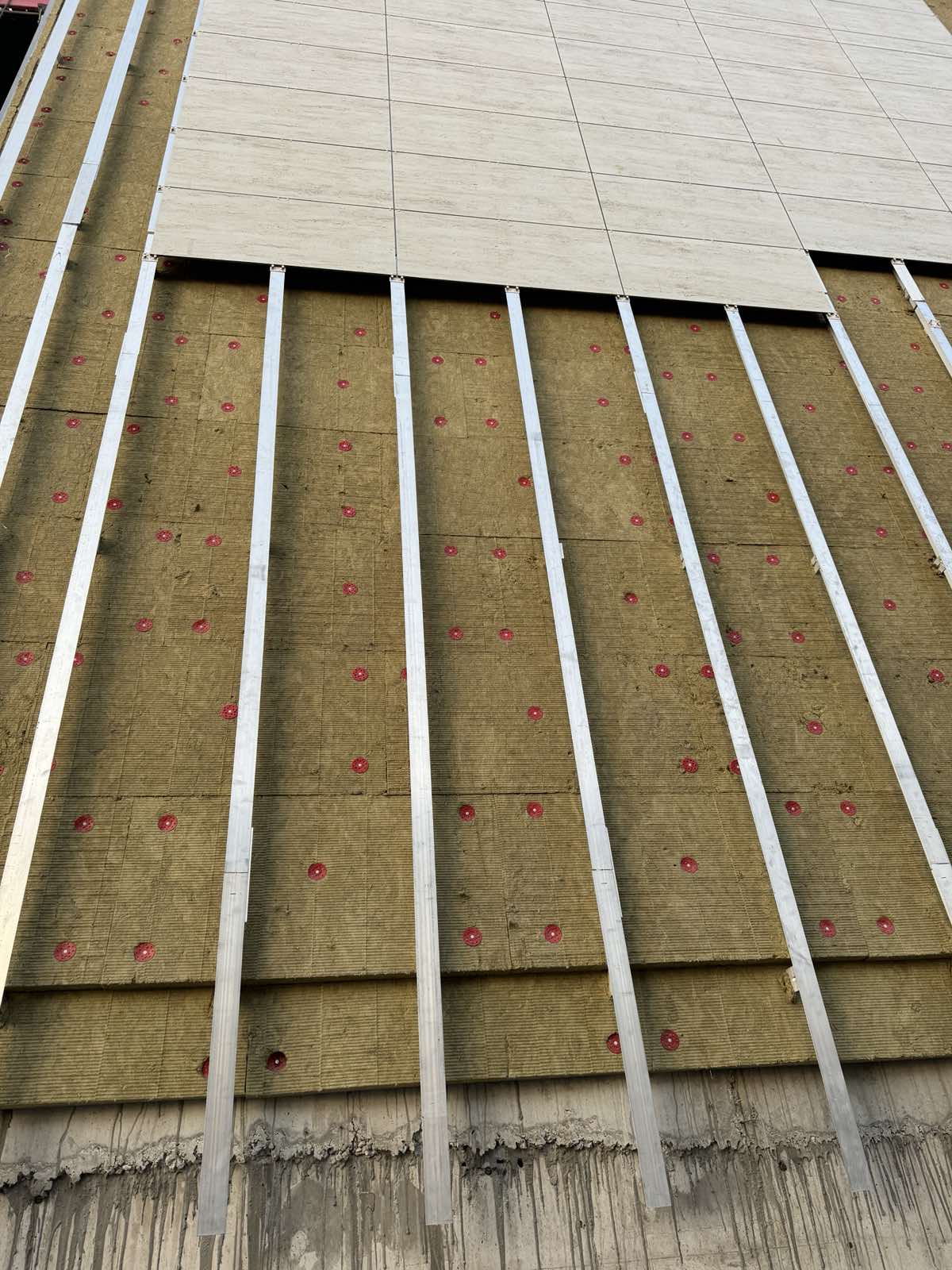 viber_image_2026-03-09_17-17-41-644